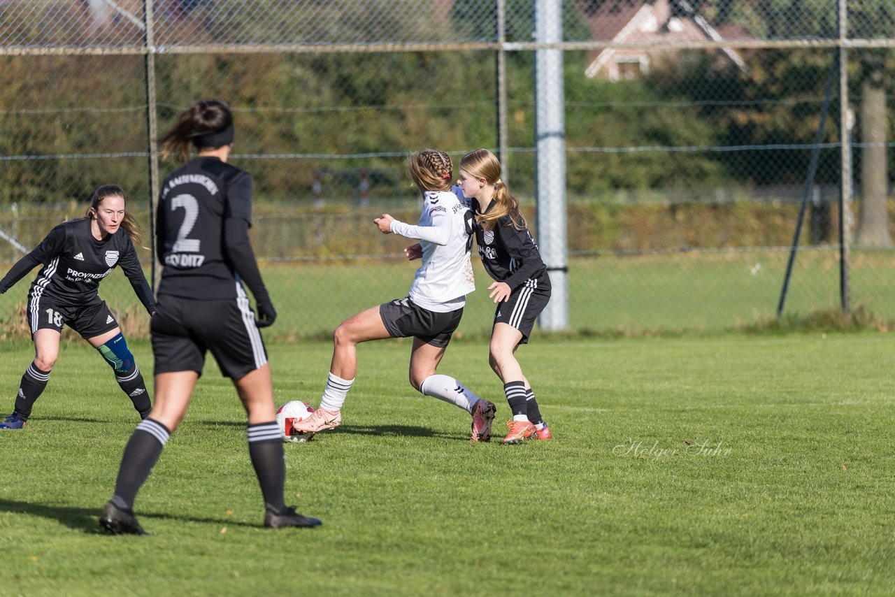 Bild 111 - F SV Henstedt Ulzburg2 - FSG Kaki-StuSie : Ergebnis: 2:2
